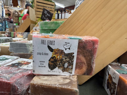 Fall Leaves